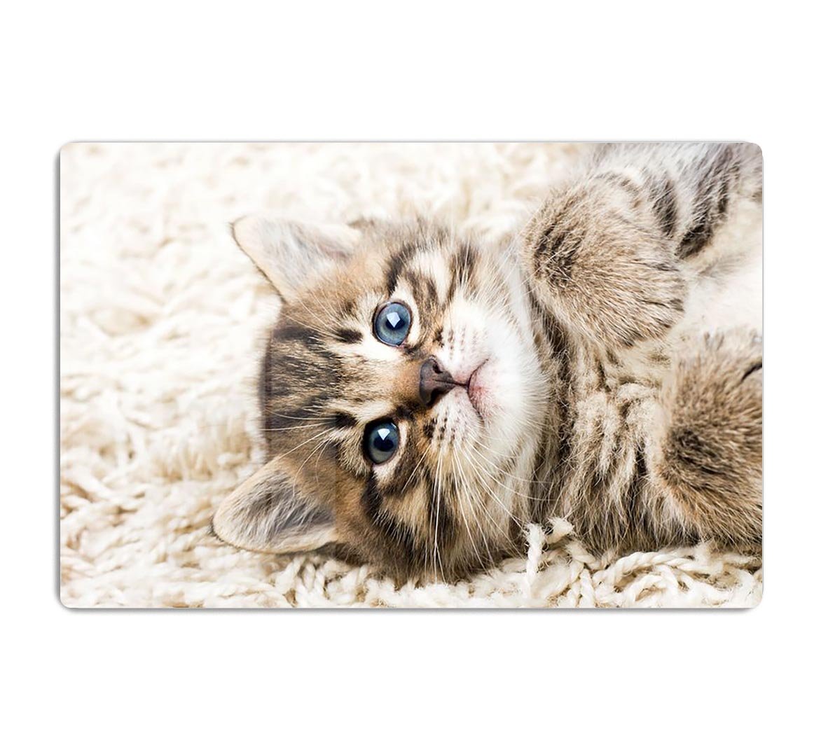 Funny kitten in carpet HD Metal Print - Canvas Art Rocks - 1