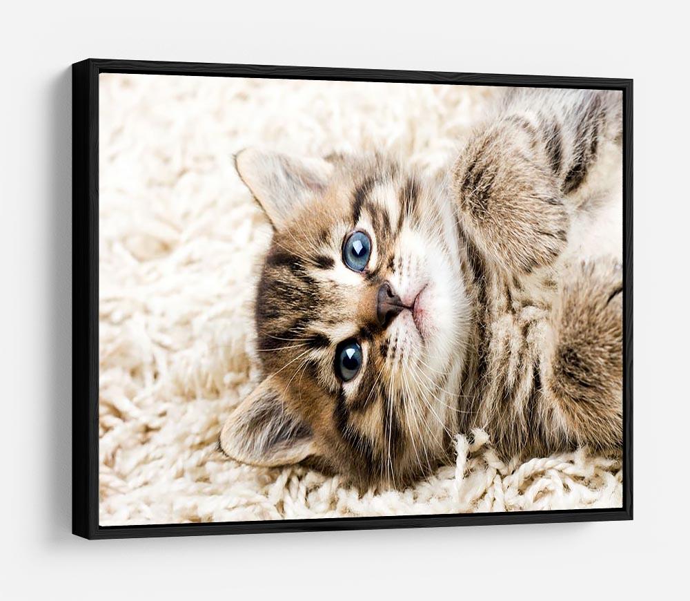 Funny kitten in carpet HD Metal Print - Canvas Art Rocks - 6