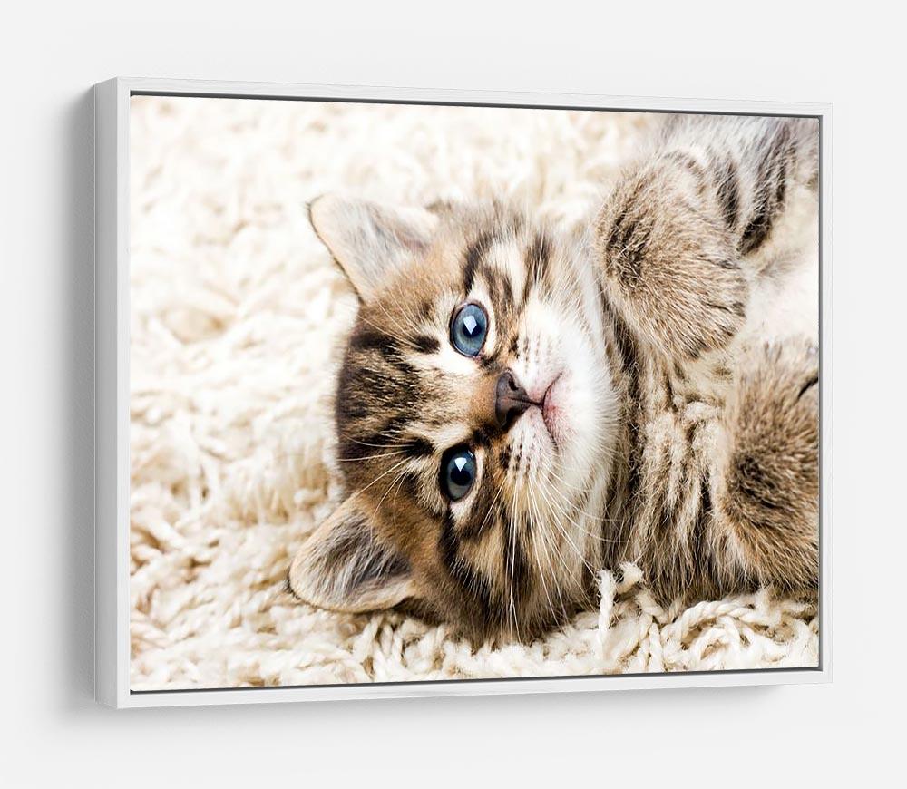 Funny kitten in carpet HD Metal Print - Canvas Art Rocks - 7