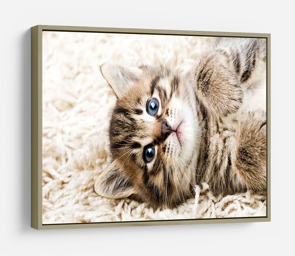 Funny kitten in carpet HD Metal Print - Canvas Art Rocks - 8