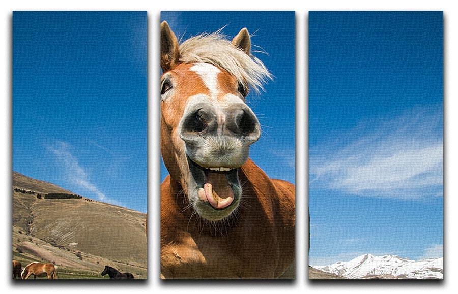 Funny shot of horse with crazy expression 3 Split Panel Canvas Print - Canvas Art Rocks - 1
