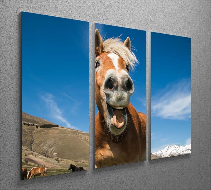 Funny shot of horse with crazy expression 3 Split Panel Canvas Print - Canvas Art Rocks - 2