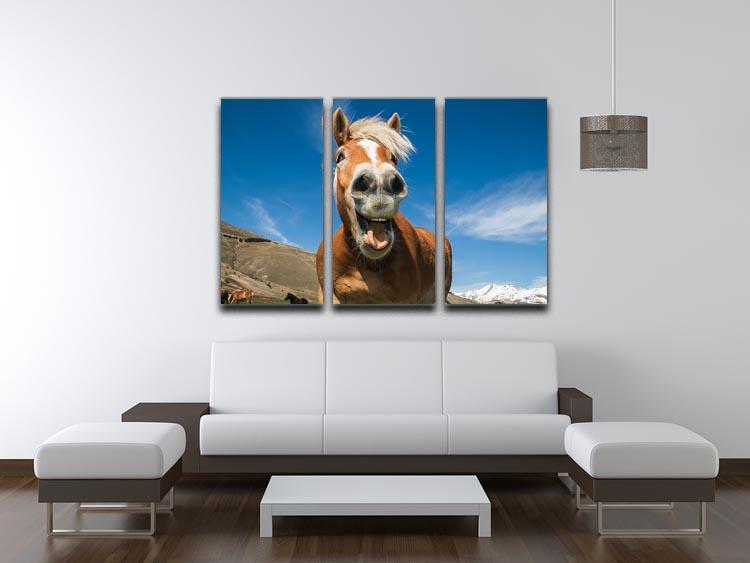 Funny shot of horse with crazy expression 3 Split Panel Canvas Print - Canvas Art Rocks - 3