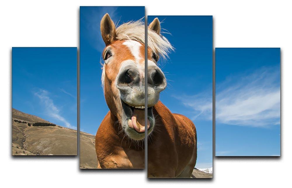 Funny shot of horse with crazy expression 4 Split Panel Canvas - Canvas Art Rocks - 1