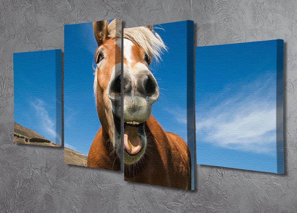 Funny shot of horse with crazy expression 4 Split Panel Canvas - Canvas Art Rocks - 2
