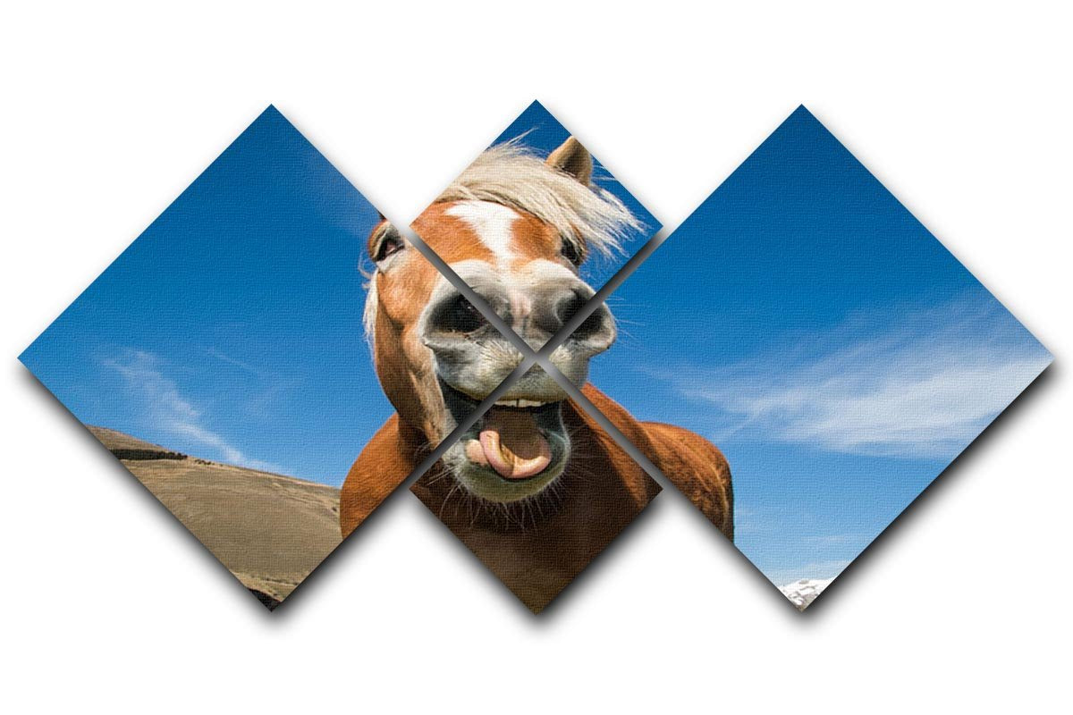 Funny shot of horse with crazy expression 4 Square Multi Panel Canvas - Canvas Art Rocks - 1