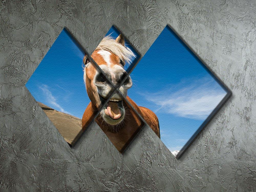 Funny shot of horse with crazy expression 4 Square Multi Panel Canvas - Canvas Art Rocks - 2
