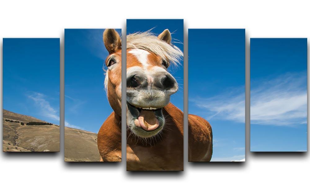 Funny shot of horse with crazy expression 5 Split Panel Canvas - Canvas Art Rocks - 1