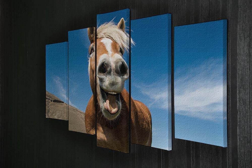Funny shot of horse with crazy expression 5 Split Panel Canvas - Canvas Art Rocks - 2