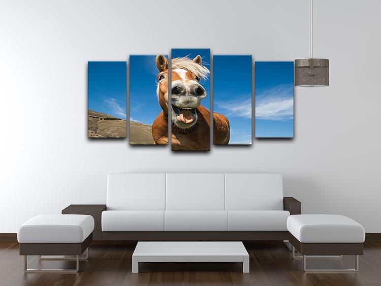 Funny shot of horse with crazy expression 5 Split Panel Canvas - Canvas Art Rocks - 3