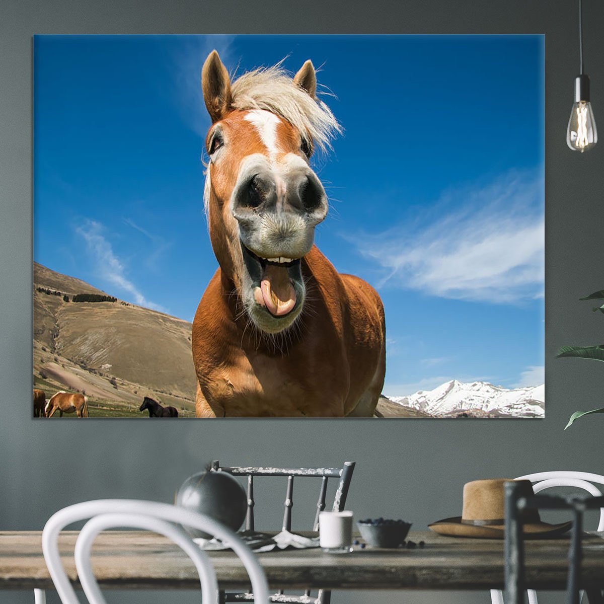 Funny shot of horse with crazy expression Canvas Print or Poster
