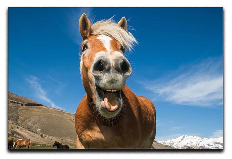 Funny shot of horse with crazy expression Canvas Print or Poster - Canvas Art Rocks - 1