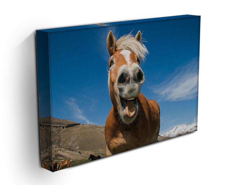 Funny shot of horse with crazy expression Canvas Print or Poster - Canvas Art Rocks - 3