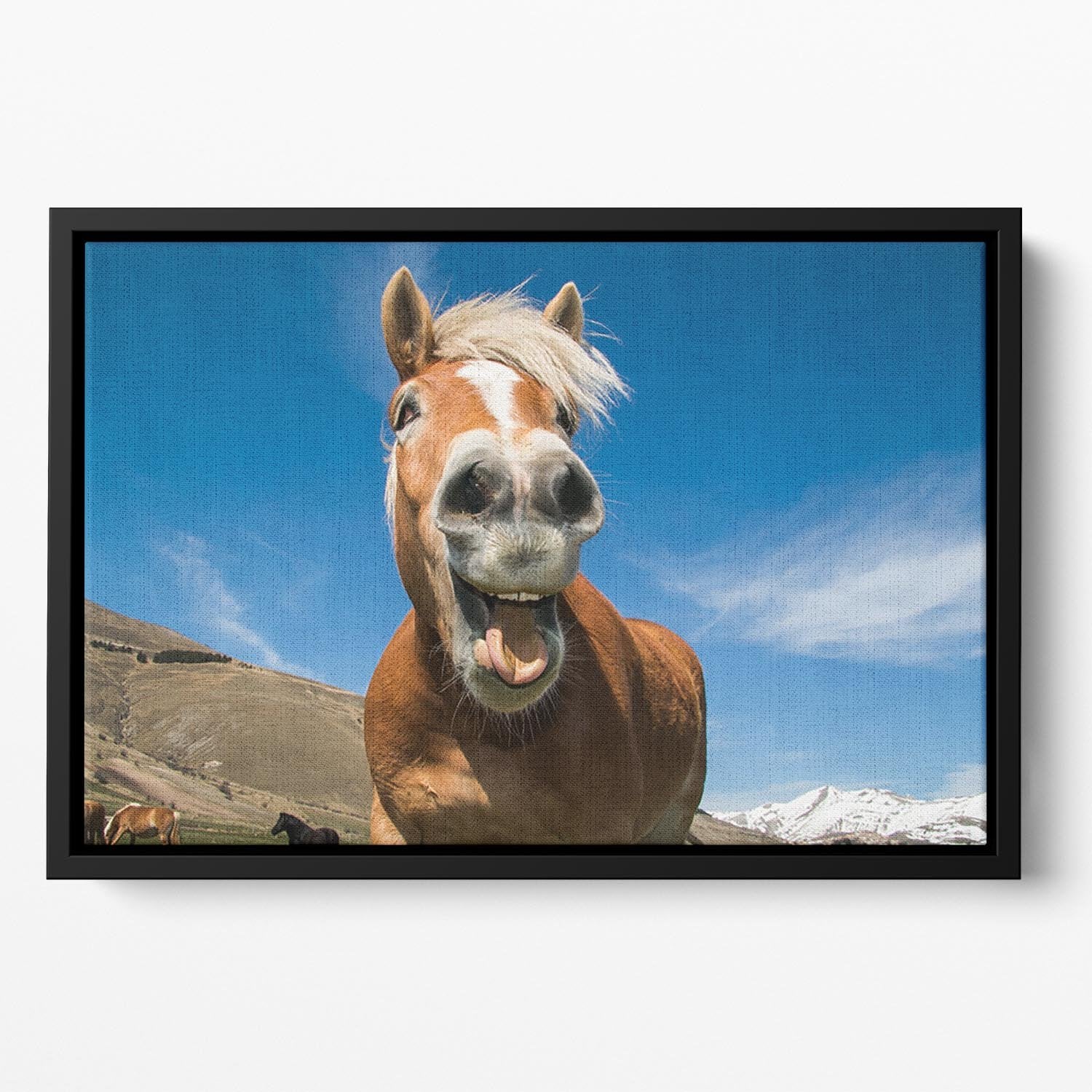 Funny shot of horse with crazy expression Floating Framed Canvas - Canvas Art Rocks - 2