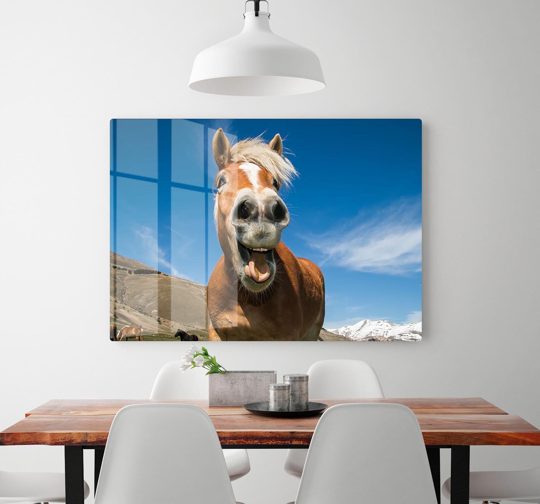 Funny shot of horse with crazy expression HD Metal Print - Canvas Art Rocks - 2