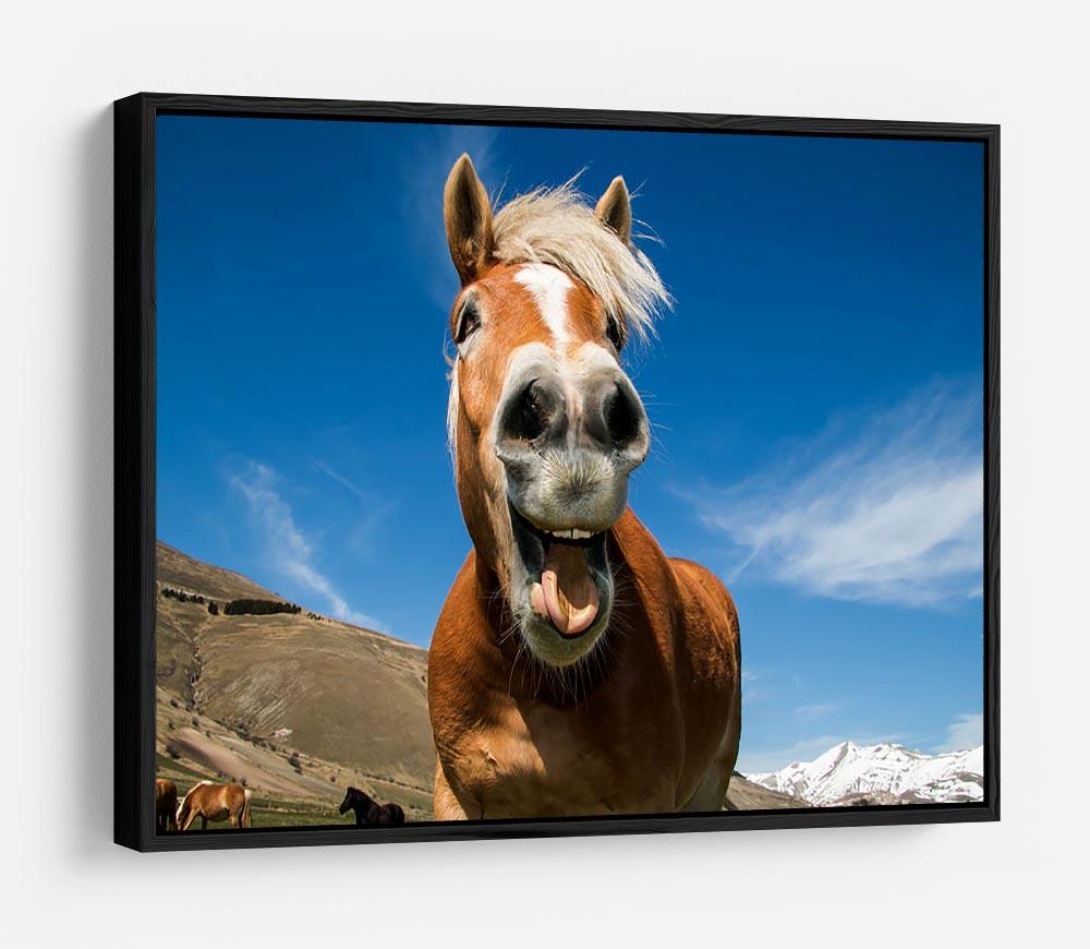 Funny shot of horse with crazy expression HD Metal Print - Canvas Art Rocks - 6