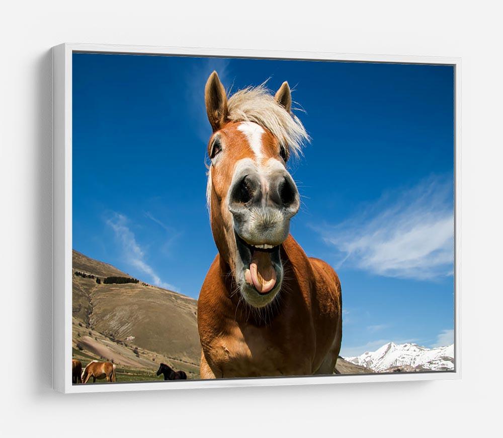 Funny shot of horse with crazy expression HD Metal Print - Canvas Art Rocks - 7