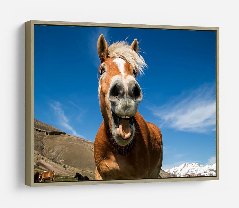 Funny shot of horse with crazy expression HD Metal Print - Canvas Art Rocks - 8