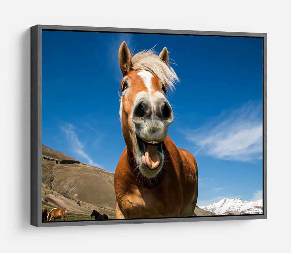 Funny shot of horse with crazy expression HD Metal Print - Canvas Art Rocks - 9