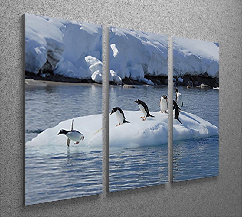 Gentoo Penguin playtime 3 Split Panel Canvas Print - Canvas Art Rocks - 2