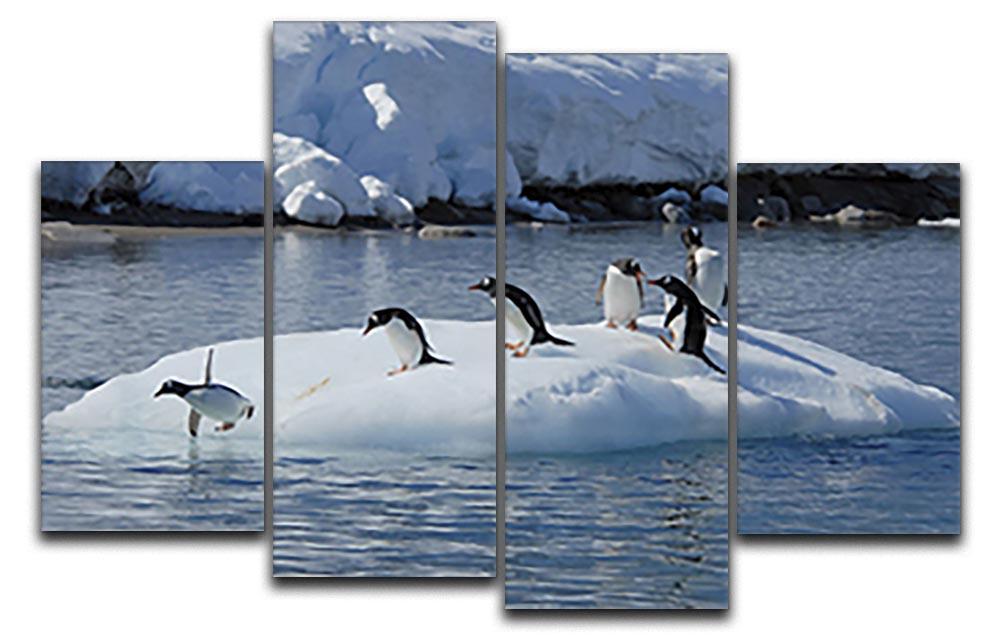 Gentoo Penguin playtime 4 Split Panel Canvas - Canvas Art Rocks - 1