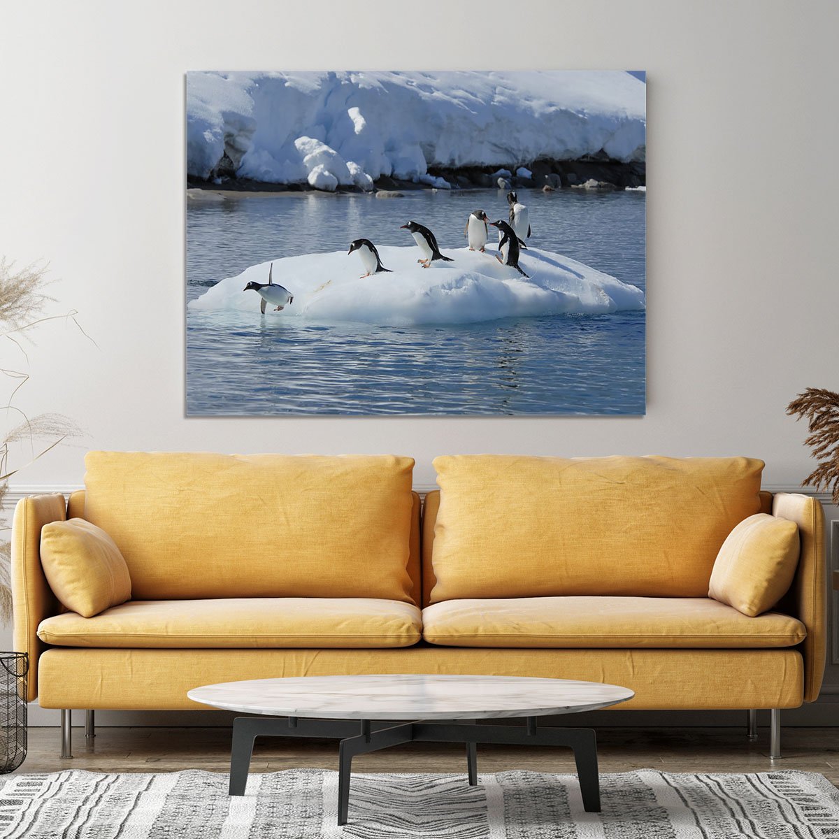Gentoo Penguin playtime Canvas Print or Poster