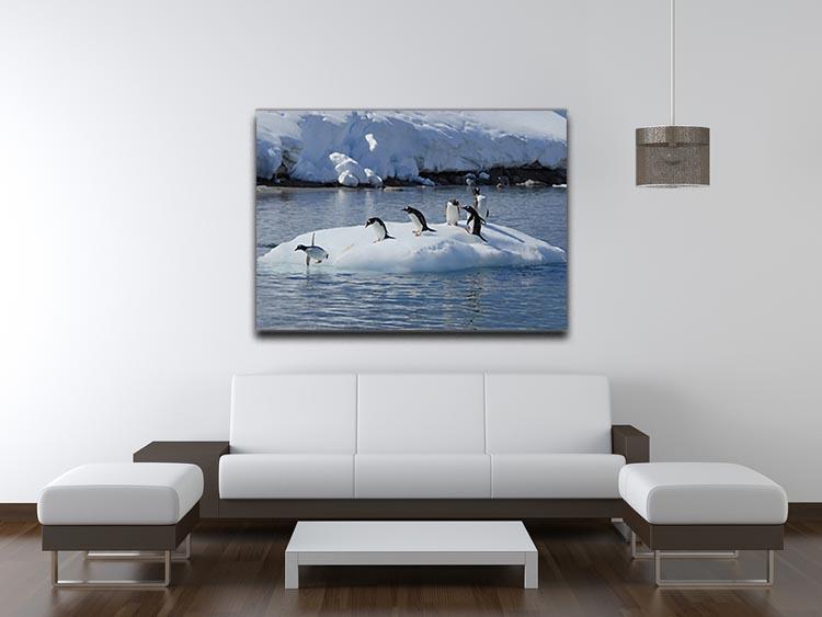 Gentoo Penguin playtime Canvas Print or Poster - Canvas Art Rocks - 4