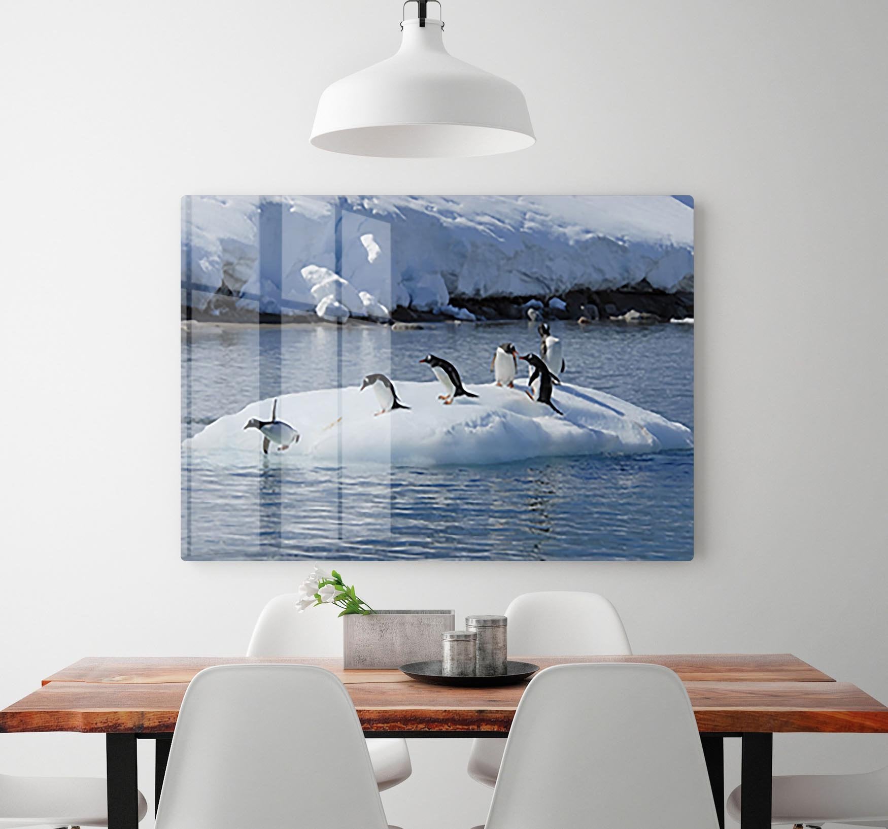 Gentoo Penguin playtime HD Metal Print - Canvas Art Rocks - 2