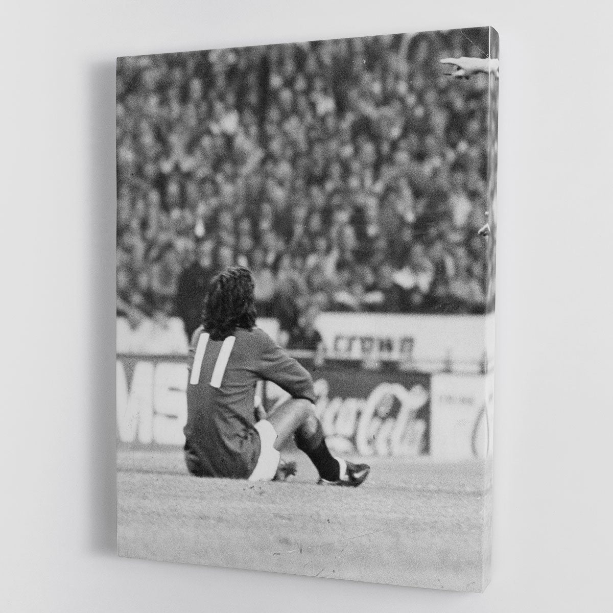 George Best Protest Canvas Print or Poster