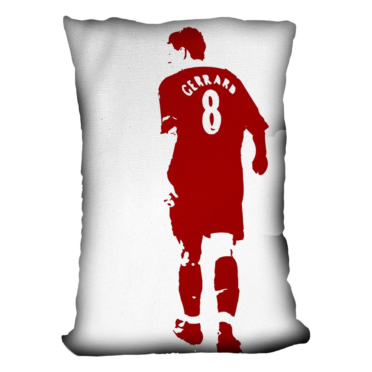 Gerrard Pop Art Cushion