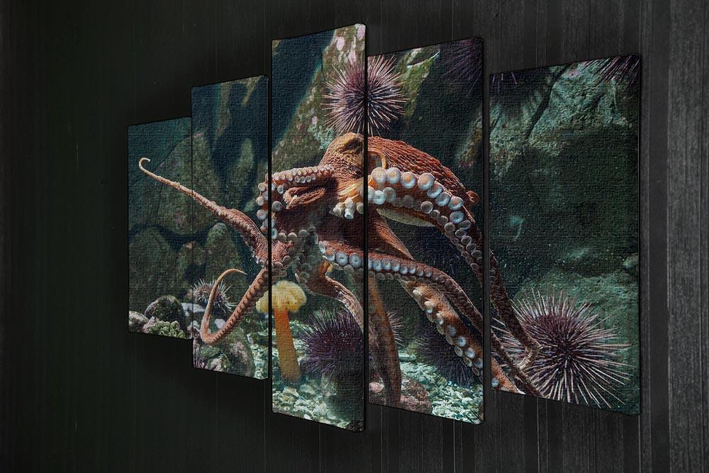 Giant Pacific octopus 5 Split Panel Canvas  - Canvas Art Rocks - 2