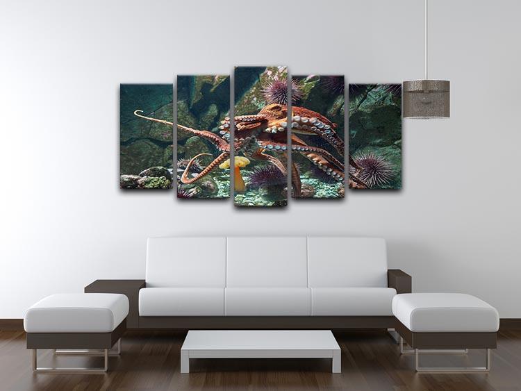 Giant Pacific octopus 5 Split Panel Canvas  - Canvas Art Rocks - 3