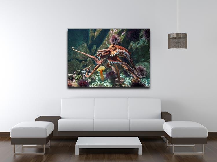 Giant Pacific octopus Canvas Print or Poster - Canvas Art Rocks - 4