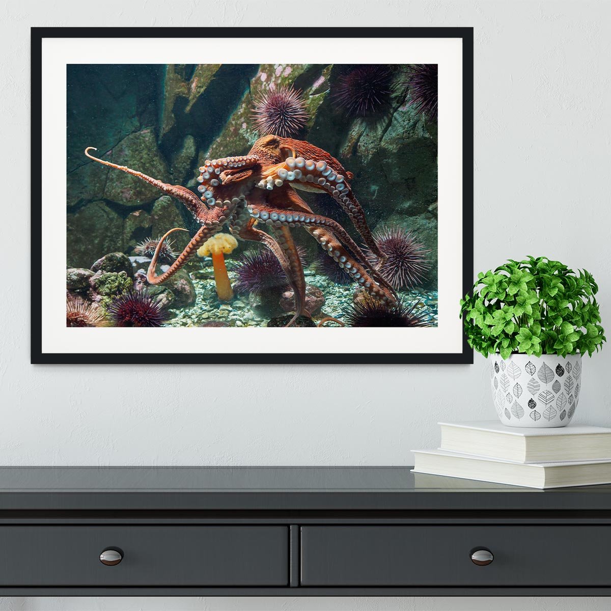 Giant Pacific octopus Framed Print - Canvas Art Rocks - 1