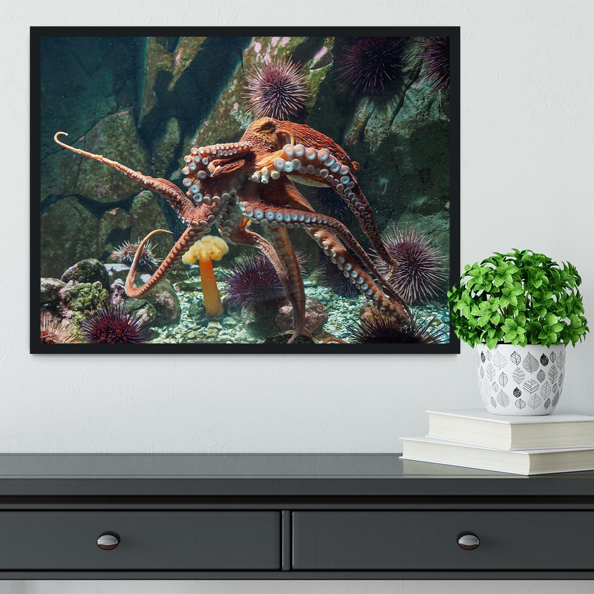Giant Pacific octopus Framed Print - Canvas Art Rocks - 2
