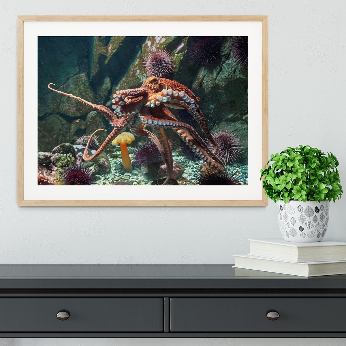 Giant Pacific octopus Framed Print - Canvas Art Rocks - 3