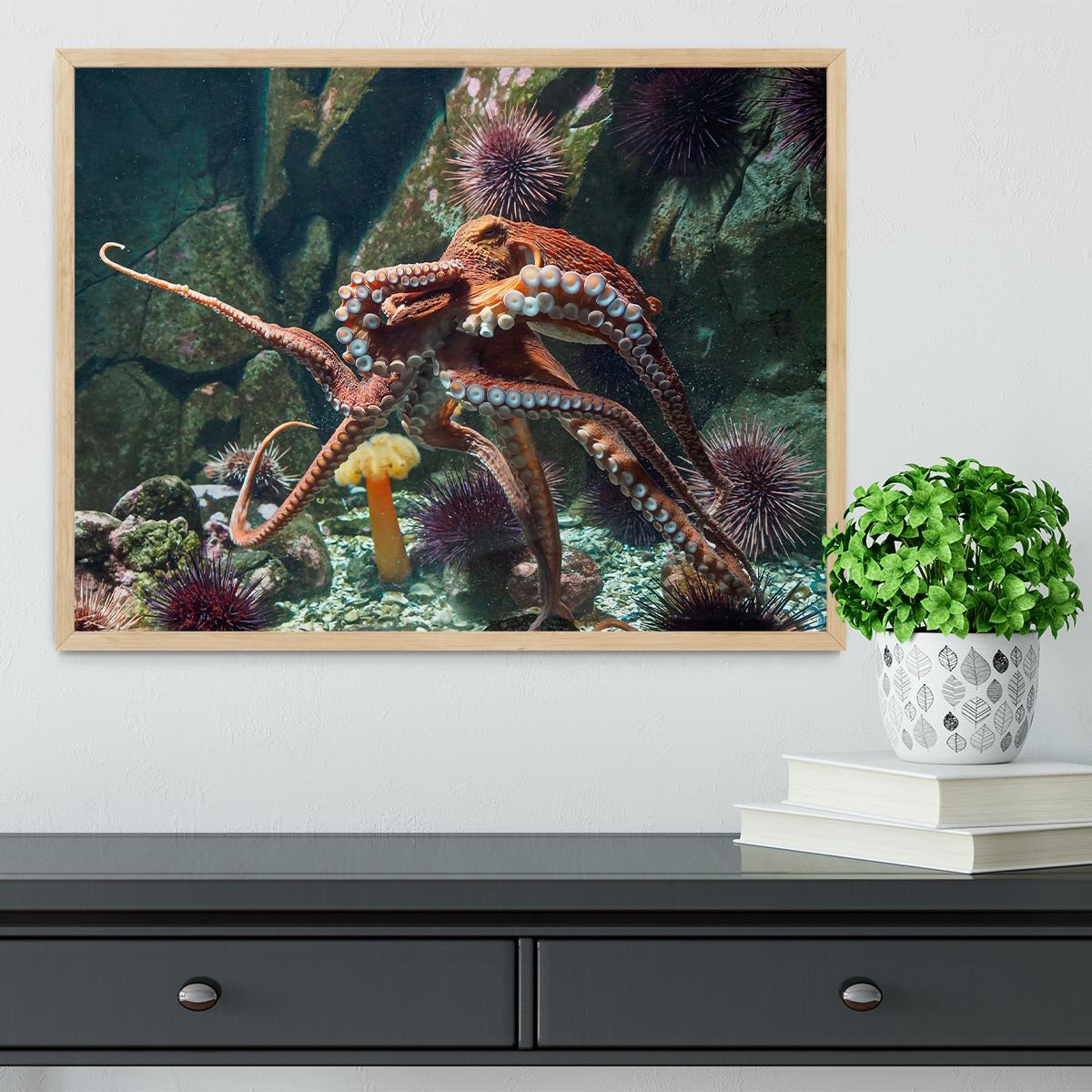 Giant Pacific octopus Framed Print - Canvas Art Rocks - 4