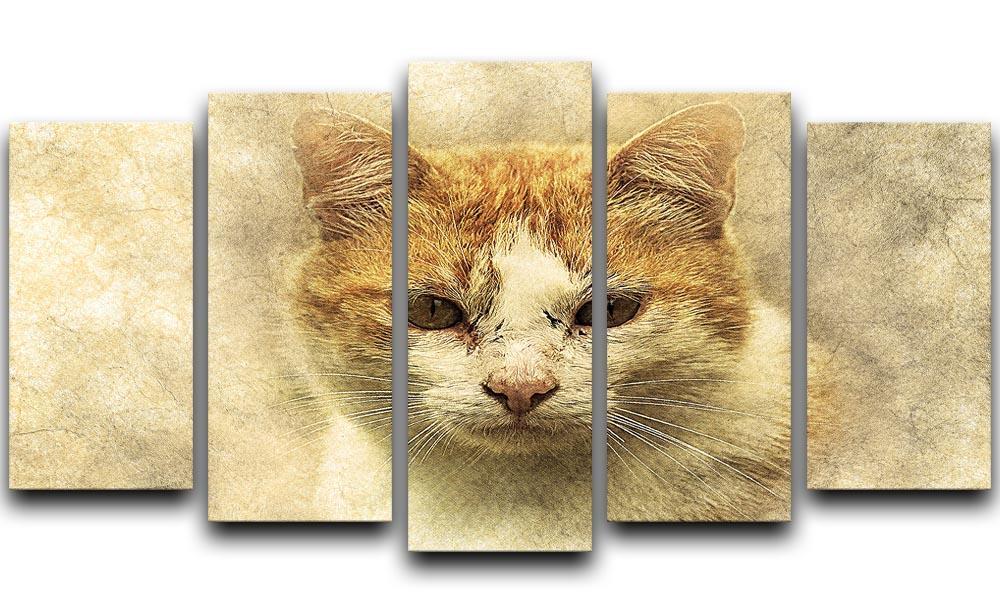 Ginger Cat Painting 5 Split Panel Canvas  - Canvas Art Rocks - 1