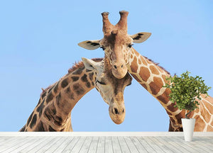 Giraffe couple in love with blue sky on background Wall Mural Wallpaper - Canvas Art Rocks - 4