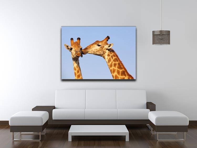 Giraffe pair bonding Canvas Print or Poster - Canvas Art Rocks - 4