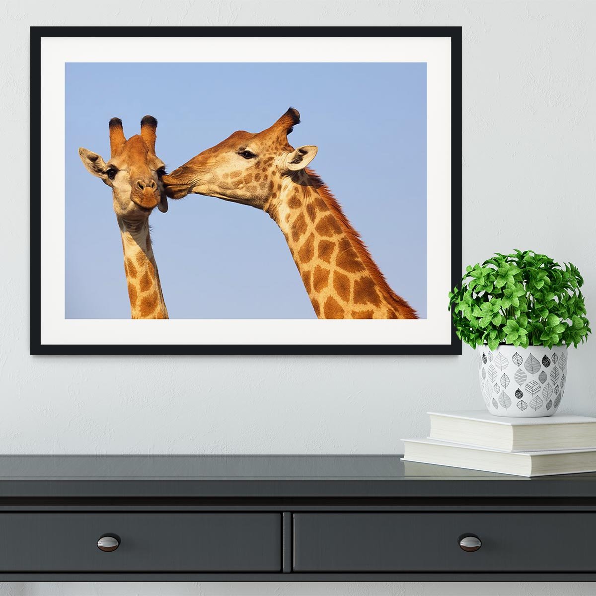 Giraffe pair bonding Framed Print - Canvas Art Rocks - 1