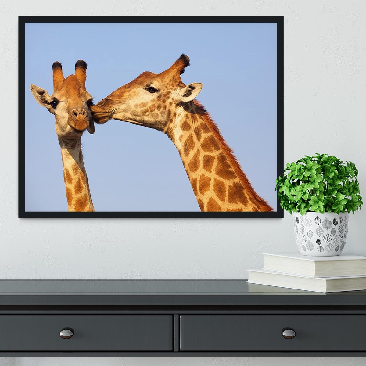 Giraffe pair bonding Framed Print - Canvas Art Rocks - 2