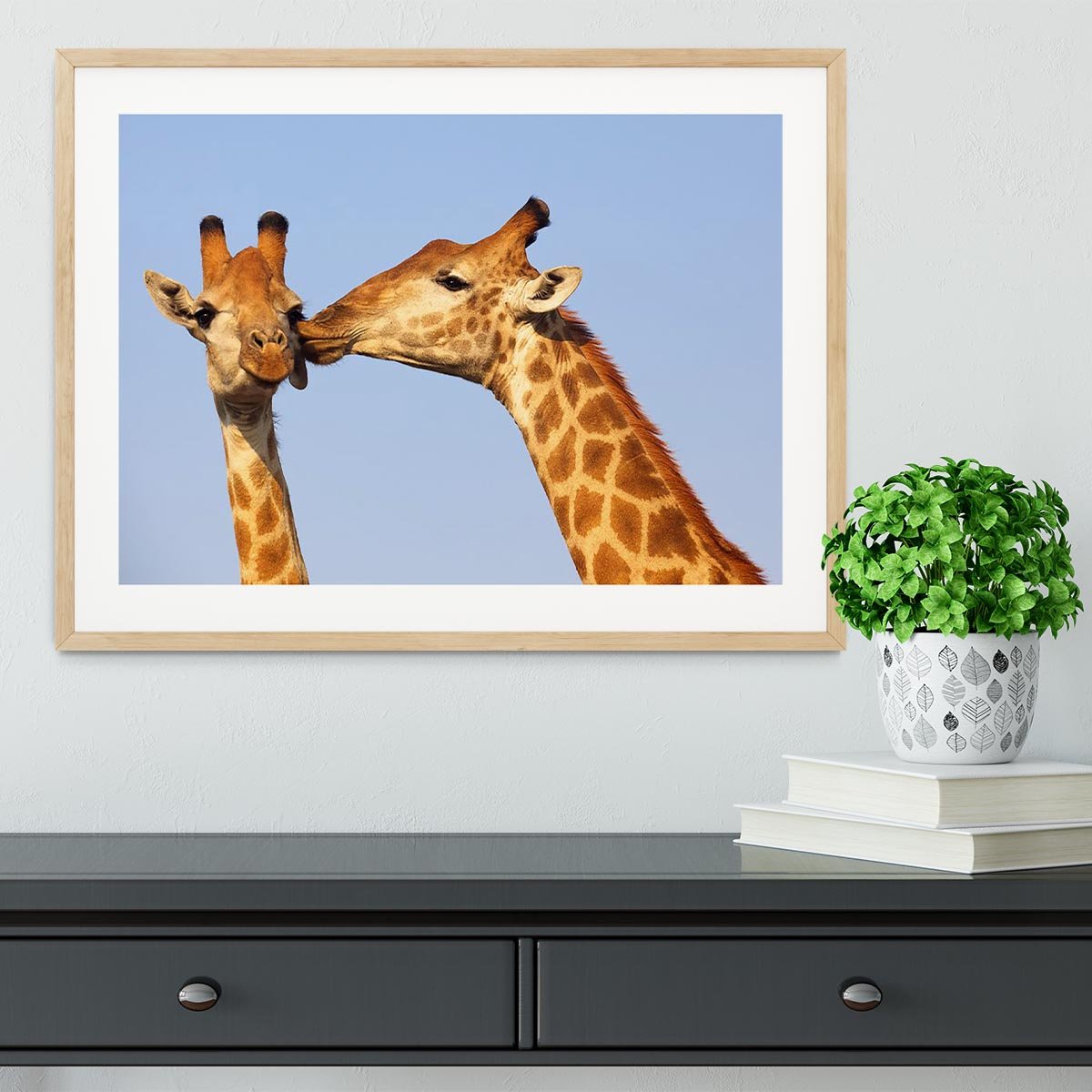 Giraffe pair bonding Framed Print - Canvas Art Rocks - 3