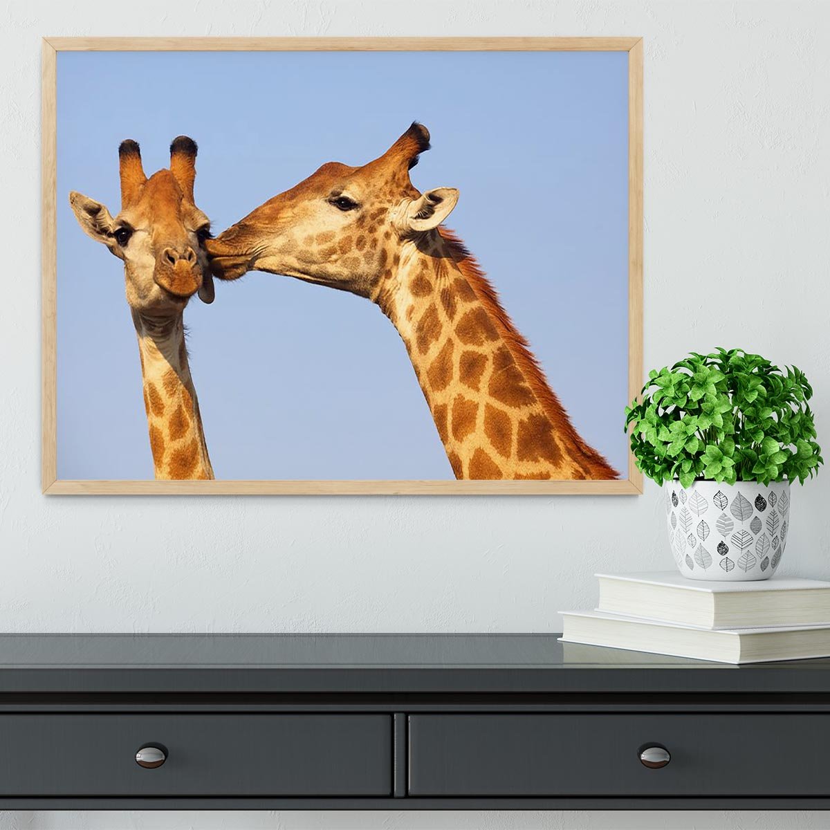 Giraffe pair bonding Framed Print - Canvas Art Rocks - 4