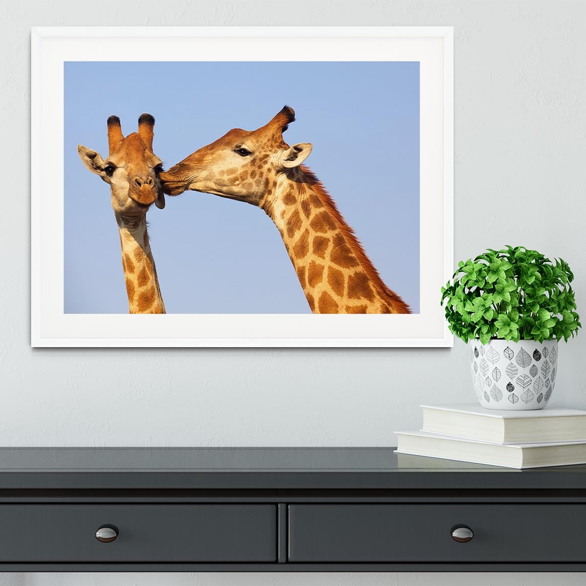 Giraffe pair bonding Framed Print - Canvas Art Rocks - 5