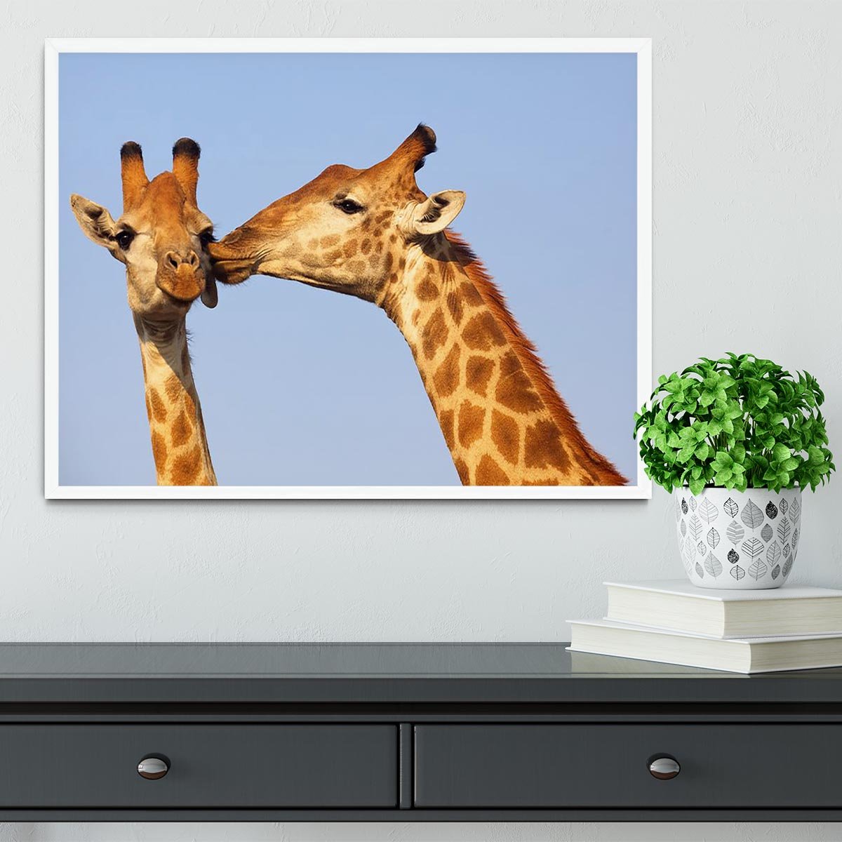 Giraffe pair bonding Framed Print - Canvas Art Rocks -6