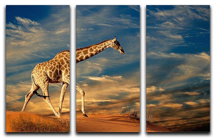 Giraffe walking on a sand dune with clouds South Africa 3 Split Panel Canvas Print - Canvas Art Rocks - 1