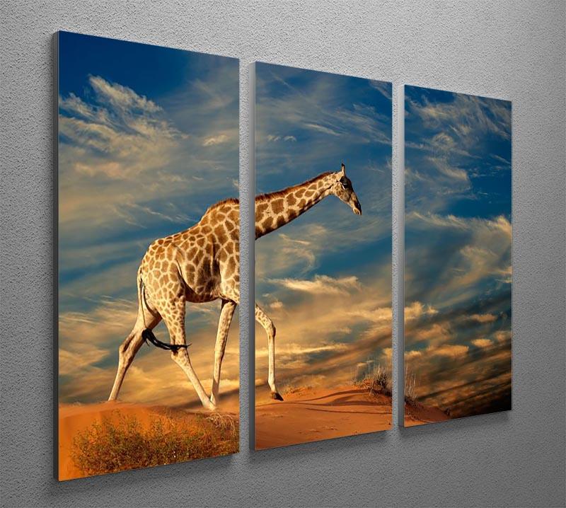 Giraffe walking on a sand dune with clouds South Africa 3 Split Panel Canvas Print - Canvas Art Rocks - 2