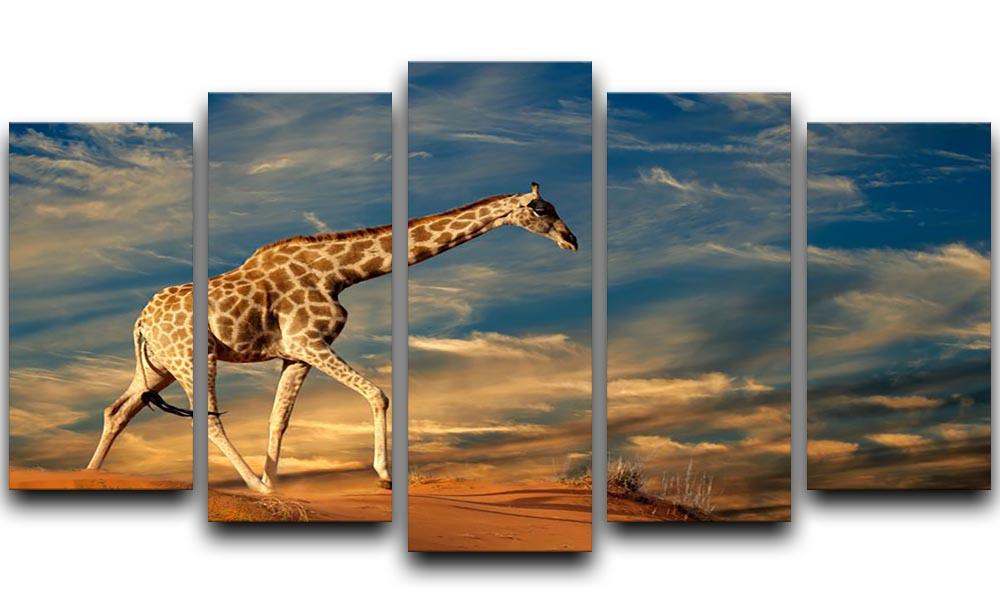 Giraffe walking on a sand dune with clouds South Africa 5 Split Panel Canvas - Canvas Art Rocks - 1