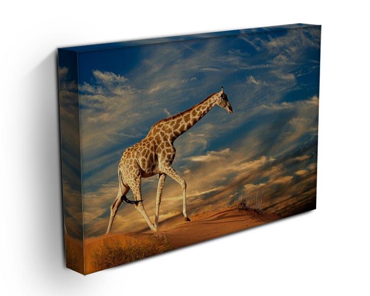 Giraffe walking on a sand dune with clouds South Africa Canvas Print or Poster - Canvas Art Rocks - 3
